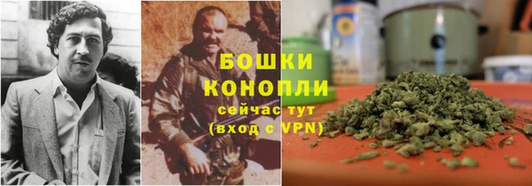молекула духа Балахна
