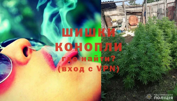 молекула духа Балахна