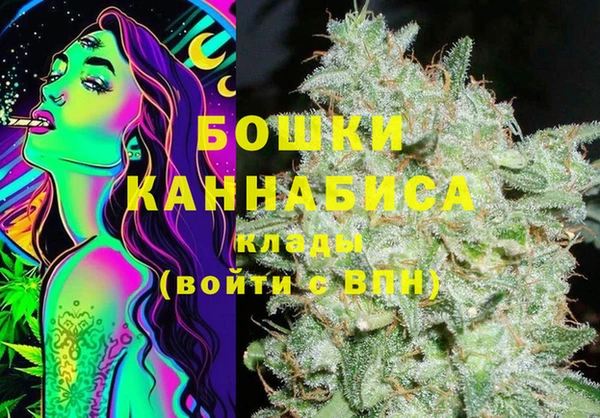 молекула духа Балахна