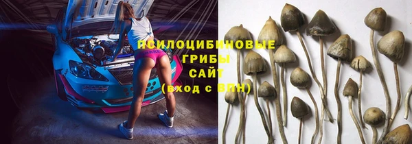 молекула духа Балахна