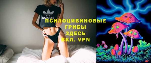 молекула духа Балахна